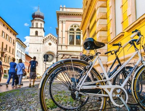 Cerchi una stanza singola in Trento centro? Studio Suite è qui per te!